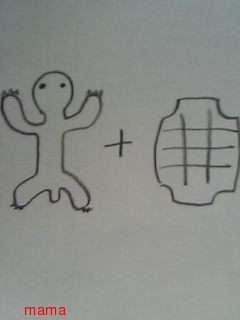 ｶﾒの甲羅をはがしたらどうなりますか？