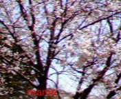 【ﾄﾞｸ部屋&#x{11:F991};】(*´艸`*)