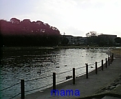 (&#x{11:F9B5};´&#x{11:F9C6};`)友ﾗﾁ①оо人出来るかな&#x{11:F9C0};&#x{11:F9A4};