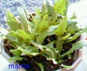 【ﾄﾞｸ部屋&#x{11:F991};】(*´艸`*)