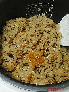 便乗☆シーチキン+ふじっこ炊き込みご飯