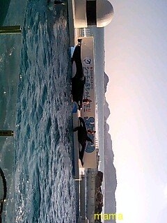 【ﾄﾞｸ部屋&#x{11:F991};】(*´艸`*)