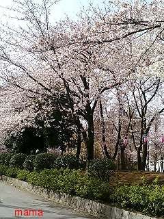 【ﾄﾞｸ部屋&#x{11:F991};】(*´艸`*)