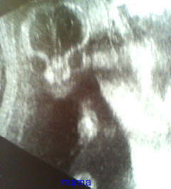 24歳以上のﾏﾀﾏﾏさん話そぉ♪