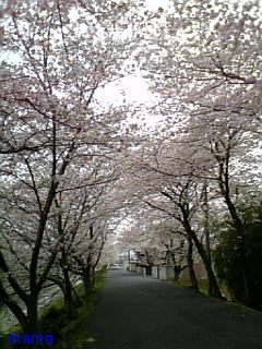 (&#x{11:F9B5};´&#x{11:F9C6};`)友ﾗﾁ①оо人出来るかな&#x{11:F9C0};&#x{11:F9A4};