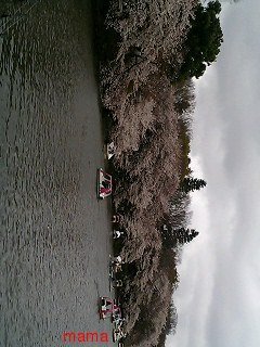 【ﾄﾞｸ部屋&#x{11:F991};】(*´艸`*)