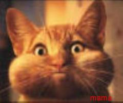 余計な事？私が悪いですか？