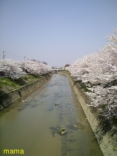 (&#x{11:F9B5};´&#x{11:F9C6};`)友ﾗﾁ①оо人出来るかな&#x{11:F9C0};&#x{11:F9A4};