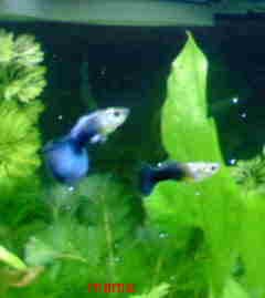 (&#x{11:F9B5};´&#x{11:F9C6};`)友ﾗﾁ①оо人出来るかな&#x{11:F9C0};&#x{11:F9A4};