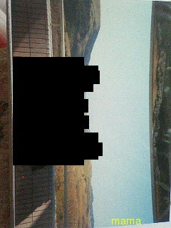 広島か岡山の観光名所のはず！この場所どこ？【写二枚あり】