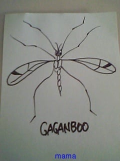 ｱﾒﾝﾎﾞみたいな蚊のデカィのみたいな変な虫