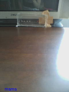 テレビのスイッチを･･･