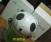 懸賞大スｷな人&#x{11:F9AF};&#x{11:F995};&#x{11:F8F6};&#x{11:F9E6};