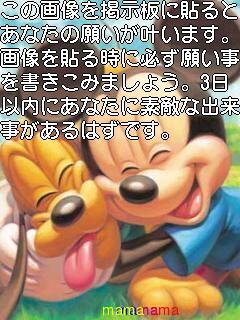 願い事をかけてみませんか&#x{11:F99F};&#x{11:F99F};