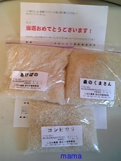 懸賞大スｷな人&#x{11:F9AF};&#x{11:F995};&#x{11:F8F6};&#x{11:F9E6};