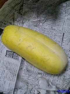 このお野菜で美味しい料理