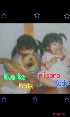 こうだくみの妹