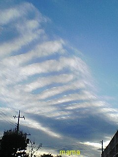 地震にそなえて皆が見た地震雲。