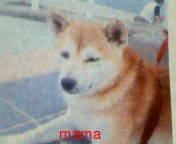 全般より移動【関西ｵﾌ会】