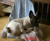 全般より移動【関西ｵﾌ会】