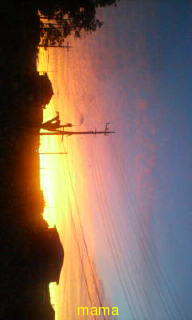 もし東京に大地震来たら