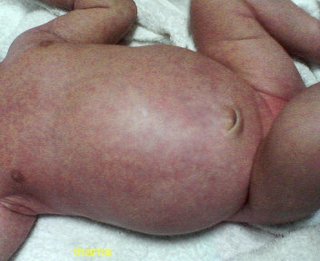 このお腹ｯﾃ…