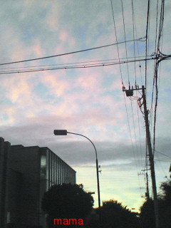 もし東京に大地震来たら