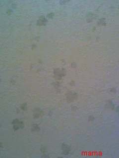 注文住宅‥壁紙の写見せて頂きたいです