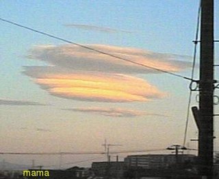 熊のジョン【地震雲系】