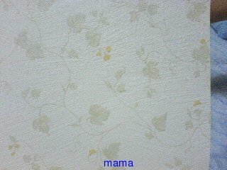 注文住宅‥壁紙の写見せて頂きたいです