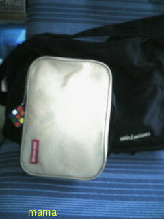 外出時、子供の紙オムツを入れるポーチは何を使ってる？