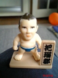 相撲みる人少ないのかな