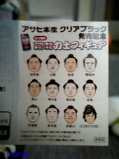 相撲みる人少ないのかな