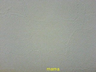 注文住宅‥壁紙の写見せて頂きたいです