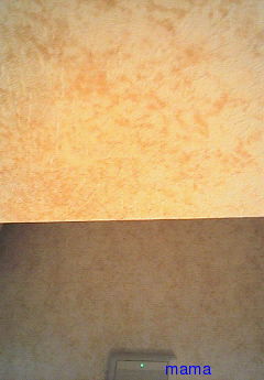 注文住宅‥壁紙の写見せて頂きたいです