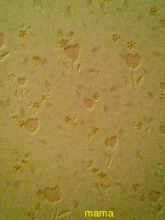 注文住宅‥壁紙の写見せて頂きたいです