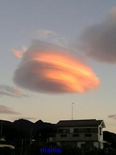 熊のジョン【地震雲系】