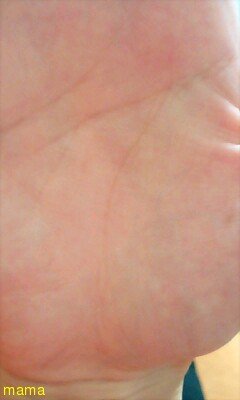 【ますかけ】の人