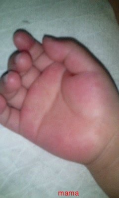 【ますかけ】の人