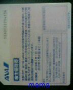 株主優待の航空券…これ