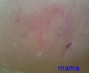 これだけでも診断書もらえる？