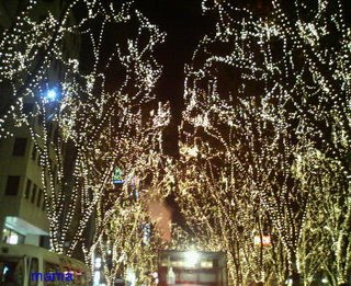 仙台の方!光のページェントいつからですか?