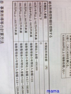 給与所得排除額って何ですか？