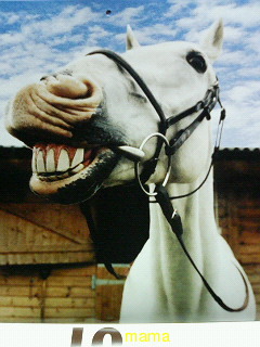 雑誌の付録のｶﾚﾝﾀﾞｰどれがよかった？？