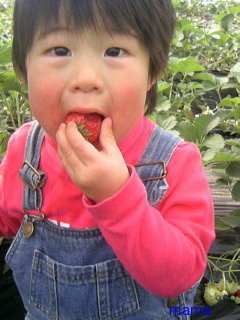 今年２１で⑫月予定の人&#x{11:F99F};仲良くなりたぃデス&#x{11:F995};&#x{11:F99B};