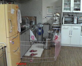 【賃貸版】ﾘﾋﾞﾝｸﾞ・ｷｯﾁﾝetc