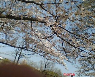 久留米☆田主丸☆うきは☆甘木&#x{11:F9F8};