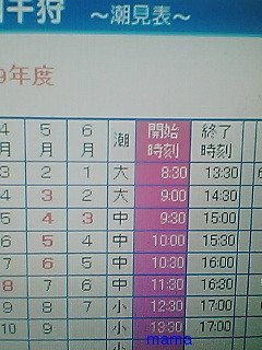 富津海岸潮干狩り場の