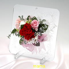 160㌢61㌔からのスタート&#x{11:F9FA};旦那を見返すぞ&#x{11:F9A9};