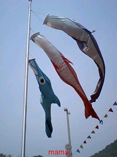 &#x{11:F8E2};なんでもいｰから&#x{11:F8E2};